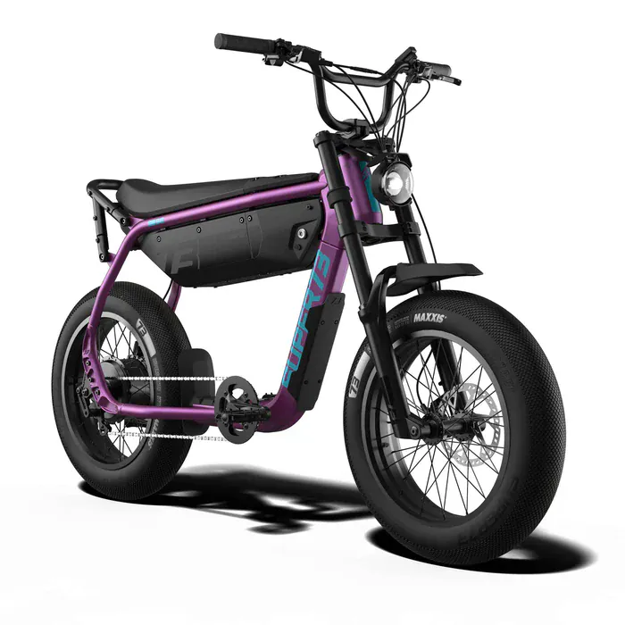 SUPER73-B1G SE - Electric Bike